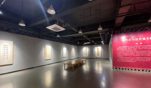 学习贯彻党的十九届六中全会精神 嘉兴市书法作品主题展在市文化馆展出 嘉浠文化见证笔墨心声